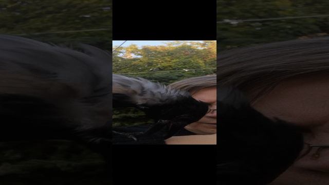 Надо поклевать кого то.mp4