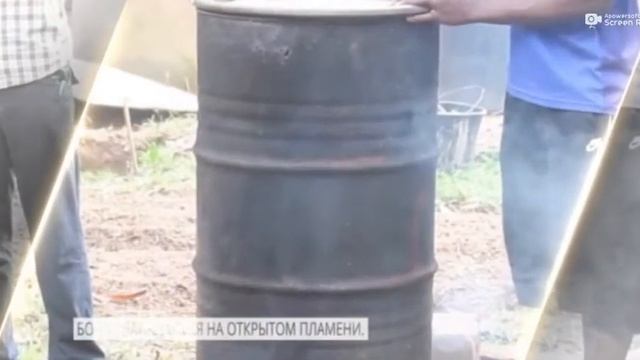 как выращивают вешенку в Кении смотреть онлайн