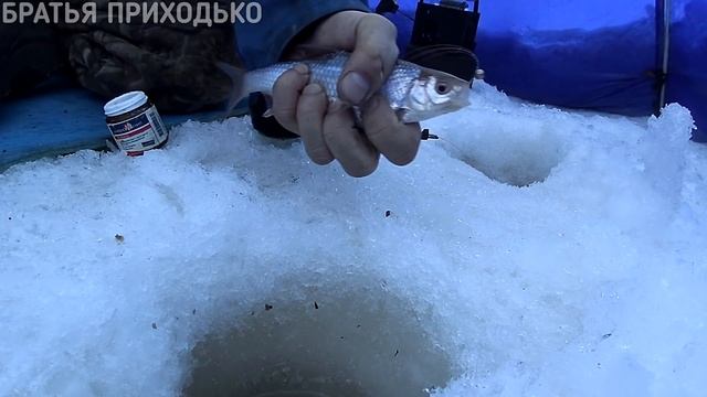 РЫБАЛКА НА ПЛОТВУ / СЕКРЕТЫ ЛОВА ПЛОТВЫ / ТЕСТО БОЛТАНКА смотреть онлайн