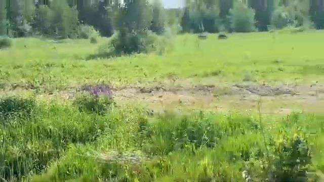 УЛИЦА РАЗБИТЫХ БОМЖЕЙ Серия 2 СНОВА ВСТРЕТИЛИСЬ смотреть онлайн