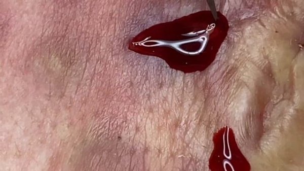 Relax Every Day With Sac Dep Spa ##0357