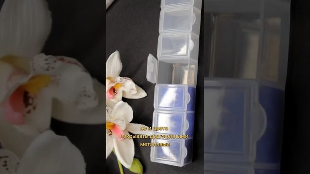 Стекло или пластик?