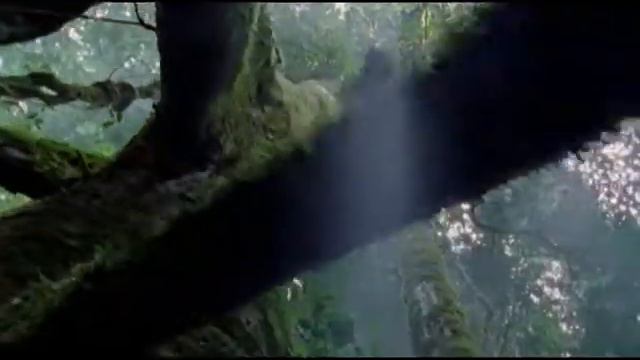 "Zоопарк": "Сафари в джунглях" смотреть онлайн