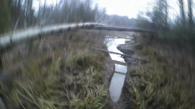 Охота на бобра капканами! Осень 2021. Добыл матерого бобра... Beaver hunting. смотреть онлайн