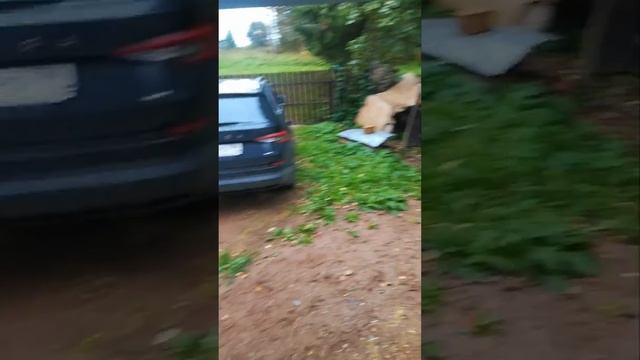 Хозблок 3 на 8 метра с вертикальным подъёмом ворот смотреть онлайн