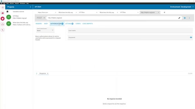 Working with HTTP requests in Advanced REST Client