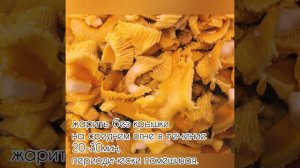 Жареные лисички с луком и сметаной!