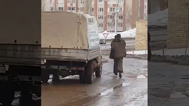 Бросили котом в лося смотреть онлайн