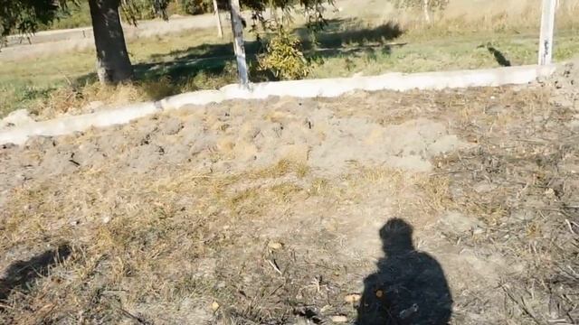 Работа в саду идет к завершению.Учимся на чужих ошибках. смотреть онлайн