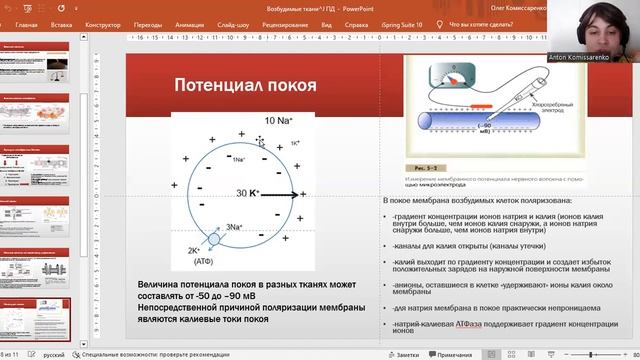 Потенциал действия. Физиология возбудимых тканей смотреть онлайн
