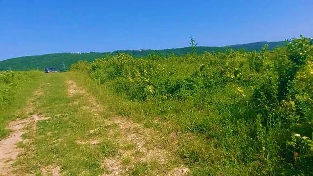 ❗️ДИВНОМОРСКОЕ ИЮНЬ 2023❗️ПРИРОДА ГОРЫ РЕКИ ЛОШАДИ❗️ШИКАРНЫЕ ВИД НА ДИВНОМОРСКОЕ ❗️ЖАРИМ ШАШЛЫК❗️ смотреть онлайн