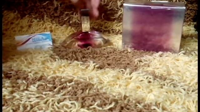 Парфюмированная вода Calvin Klein Forbidden Euphoria 100ml смотреть онлайн