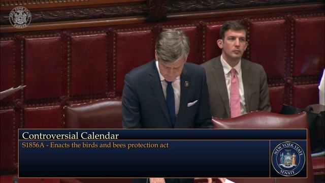 New York State Senate Session - 06/07/23 смотреть онлайн