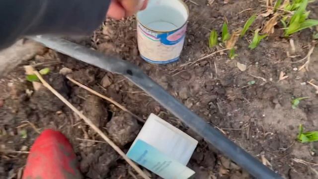 Как узнать кислая почва на участке? Ph почвы смотреть онлайн