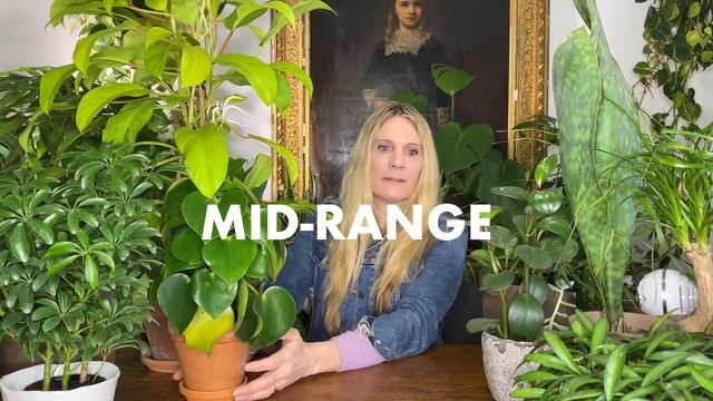 Pick the Perfect Pot for Your Plant! | A Beginner's Guide смотреть онлайн