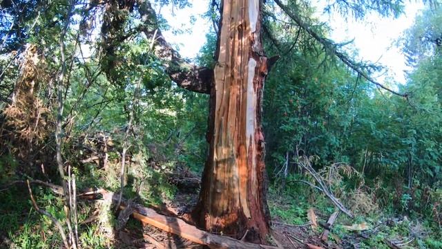 Достопримечательности Урала. Серия 1. Хребет Зюраткуль смотреть онлайн