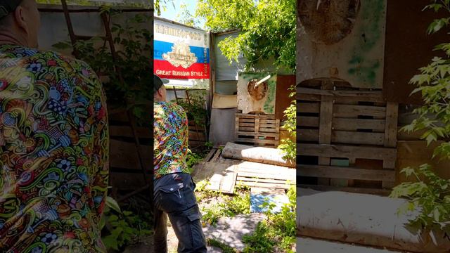 Лыжи тоже можно бросить! смотреть онлайн