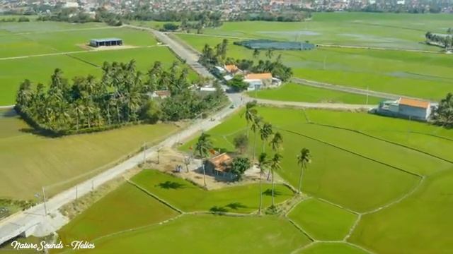 лечебная музыка для сердца и сосудов - Нежная музыка, успокаивает нервную систему и радует душу смотреть онлайн