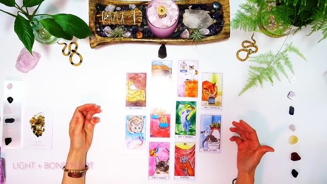 Are They With You For The Right Reasons?! | Pick-A-Card ? Psychic Reading✨ TIMELESS Tarot смотреть онлайн