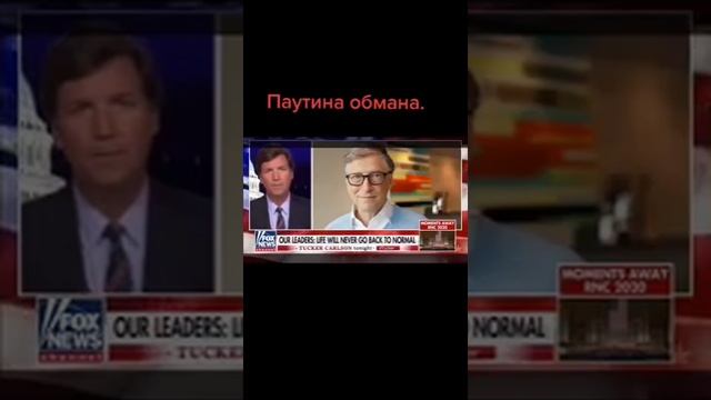 L89.mp4 смотреть онлайн