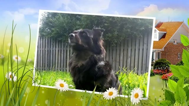 Бусинка на даче смотреть онлайн