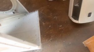 Сколько можно заработать на разборе стиральной машины?