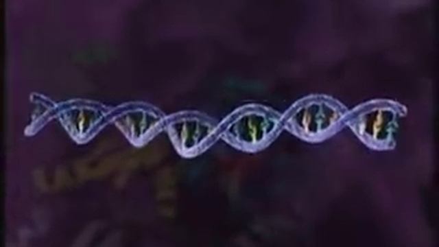 Retrovirus Replication 3D Animation смотреть онлайн