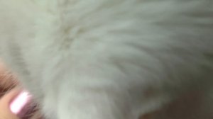 Обзор фурнитуры с Алиэкспресс часть 1