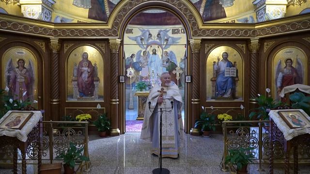 Когда враг - в радость. Проповедь священника Георгия Полякова. смотреть онлайн