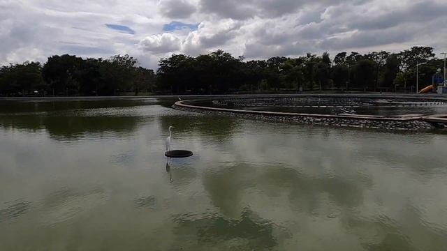 Tour Sandakan Memorial Park отель C'haya Hotel Кота-Кинабалу и зоопарк Lok Kawi Wildlife Park смотреть онлайн