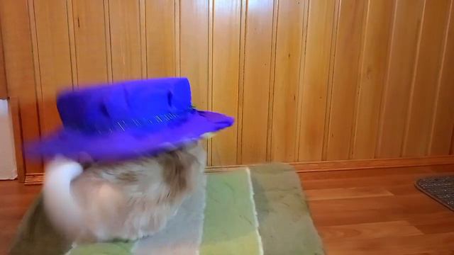 ФИЛЬМ ШЛЯПА (реж. Иван Казначеев)