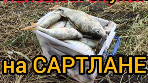 Дикая рыбалка на Сартлане