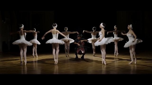 HAUSER - Swan Lake