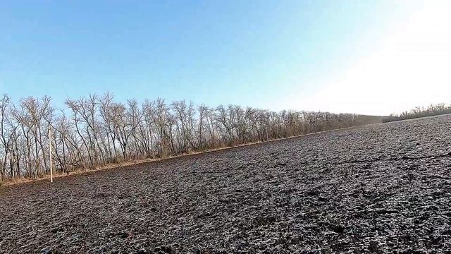 Охота на зайца (чернотроп) смотреть онлайн