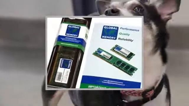 4GB DDR2 800MHz PC26400 смотреть онлайн