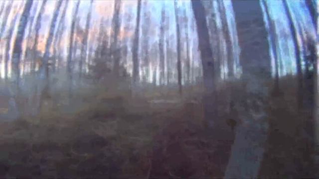 Поход на рыбинское водохранилище, май 2017 г.