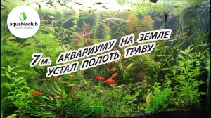 Аквариуму на земле 7 месяцев. Что может быть прекраснее?