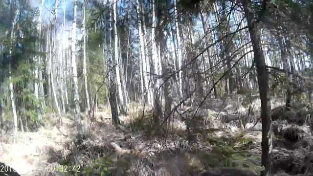 cf moto x-8 поездка на Касмочевское озеро . Болотный край смотреть онлайн