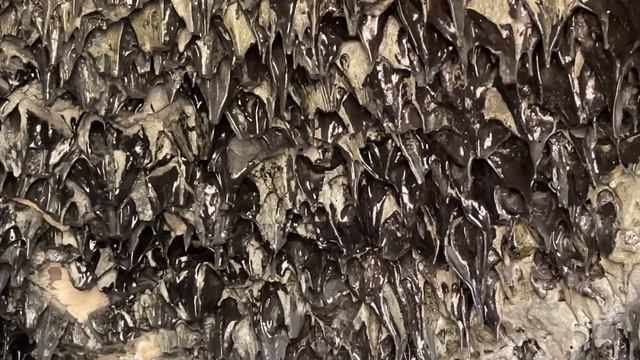 Как СОЖЖЕННЫЙ форт оказался в МОРЕ? ЗВЕРЕВ смотреть онлайн