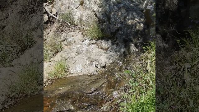 Любящая Господа душа не может не молиться... смотреть онлайн