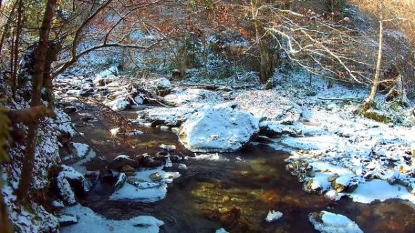 3 Hour Relaxing Stream in Snow Covered Forest with Soothing Sounds of Water, Nature and Music