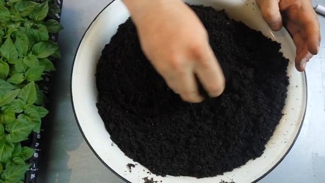 Секреты выращивания острого и сверхострого перца Часть 3 смотреть онлайн