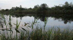 Офсетный Крючок с ОГРУЗКОЙ. Выбрать Правильно