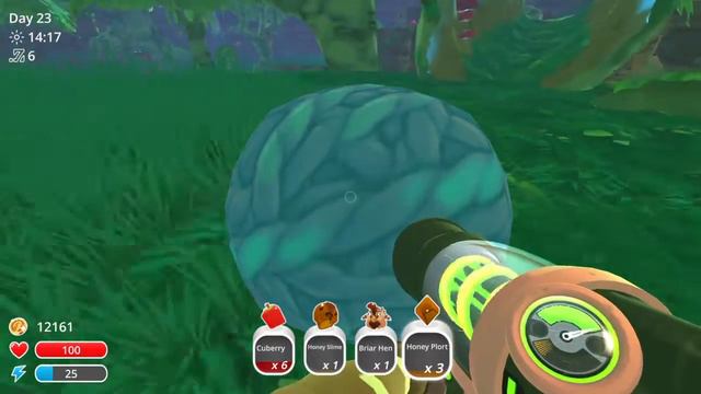 HONEY SLIMES|slime Rancher