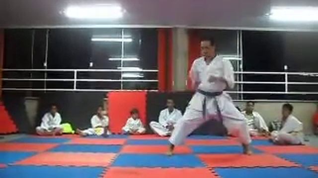 Tekki Shodan - Shotokan Karate смотреть онлайн