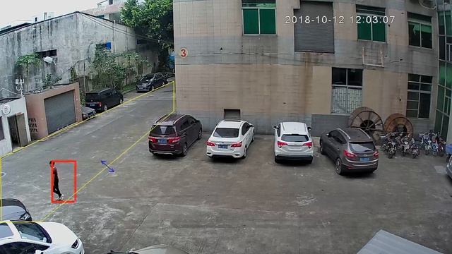 IP Camera Video Analytics Region of Interest (ROI)/Guarding Region Demo смотреть онлайн