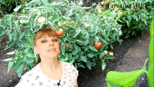 Самый ПРОСТОЙ способ КАК повысить урожайность ТОМАТОВ и ОГУРЦОВ !!! смотреть онлайн