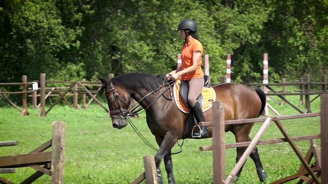 Музейные обитатели. Конь Гарус смотреть онлайн