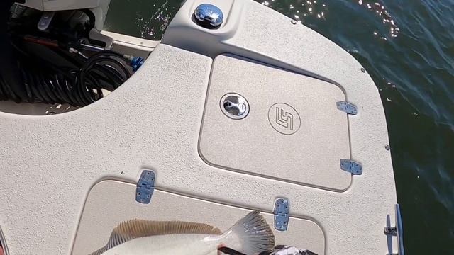 Flounder Fishing in Southern New Jersey June 5, 2021 Squid vs Gulp смотреть онлайн