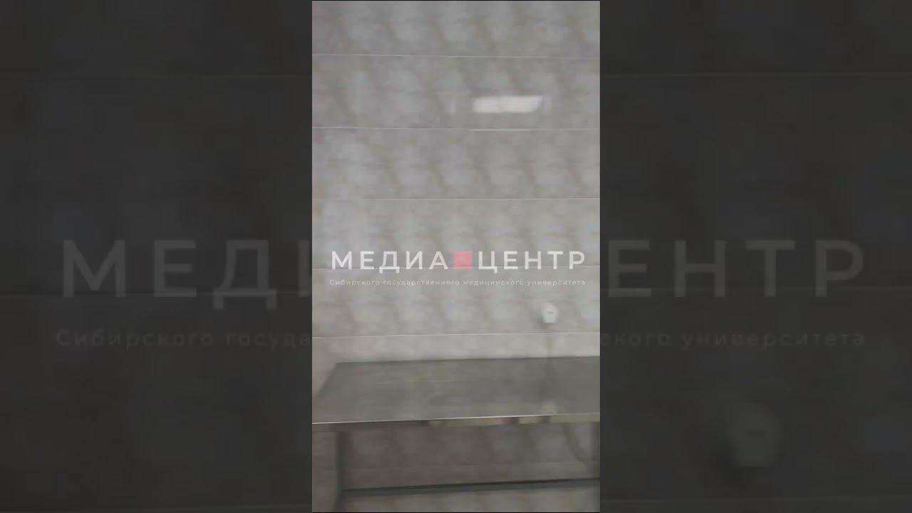 «Типо новости» №6 #sibmed #ssmu #medical смотреть онлайн